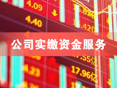 琼海公司实缴资金服务